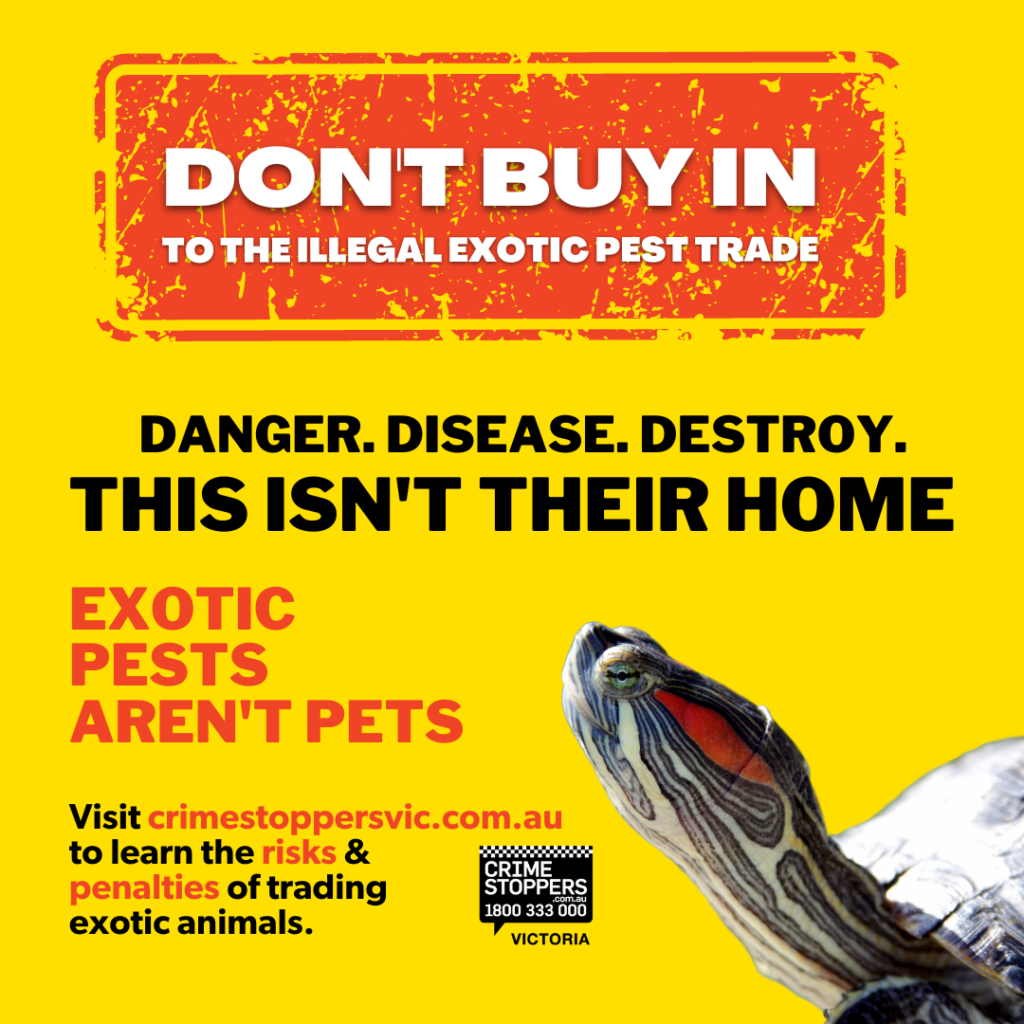 [Square Static Image] - Exotic Pests