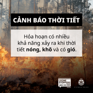 You Light It, You Own It - Bushfires