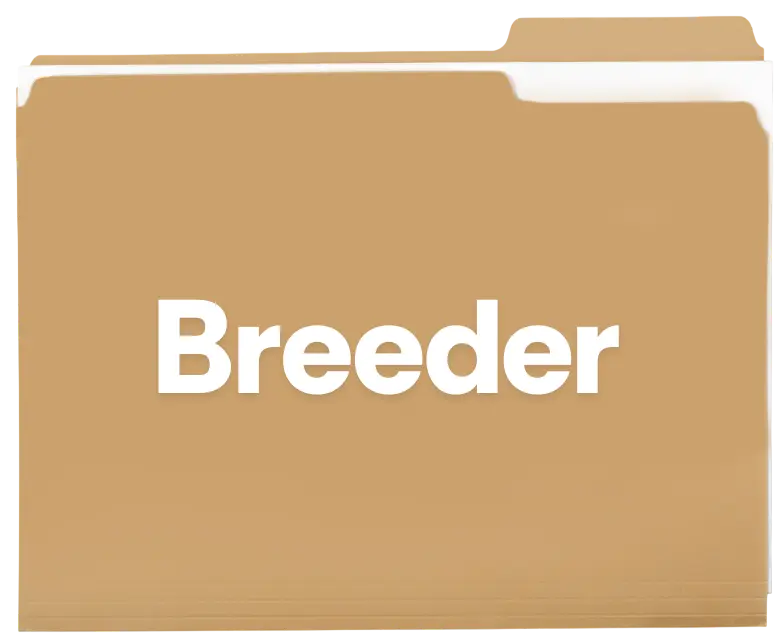 Breeder - 2 -Photoroom